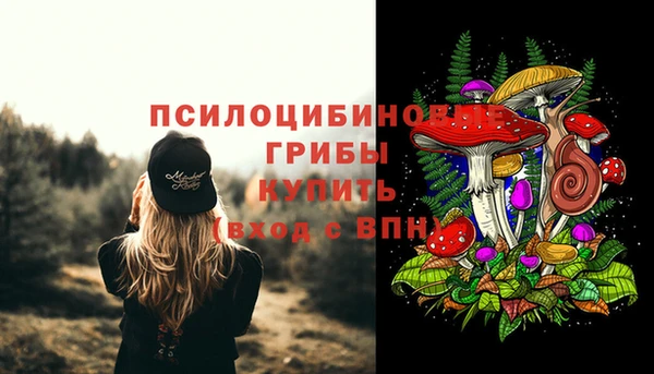 mdpv Вяземский