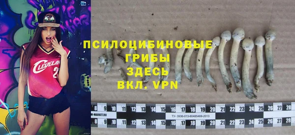 прущие крисы Туринск