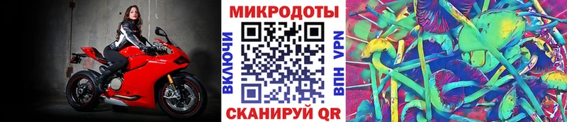 блэк спрут ссылки  как найти   Заозёрный  Галлюциногенные грибы MAGIC MUSHROOMS 